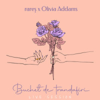 Buchet de trandafiri_Rares,Olivia Addams