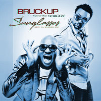 Sunglasses (Keep Ya Shades On) Dance Remix_Shaggy