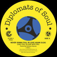 Never Gonna Fall in Love Again(Like I Fell in Love with You)_Diplomats Of Soul,Vanessa Haynes,Paul Anka