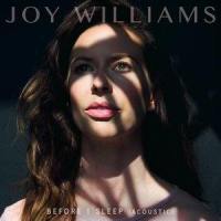 Before I Sleep_Joy Williams