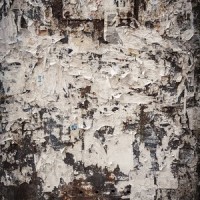Can't I Wonder_Rivulets