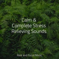 Twilight Mirage_Lullabies for Deep Meditation,Bedtime Baby,Pink Noise