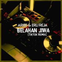 Belahan Jiwa_Arief,Erli Reja