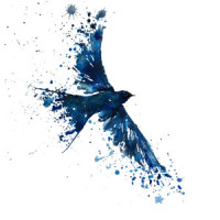 Bluebird_South Of The River,Alistair Fraser,Daniel Rogers,Joe Ansell,Nathaniel Green