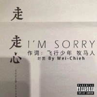 I'M SORRY_飞行少年,牧马人