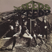 Can't Seem to Make You Mine_The Seeds,Sky Saxon
