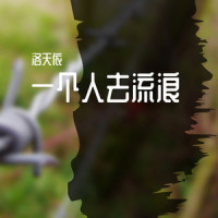 一个人去流浪_洛天依