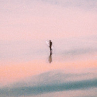 perfect moment_Evergreen