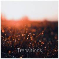 Transitions_Daria Semikina