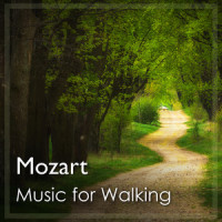 Mozart: Symphony No.7 in D, K.45 - 2. Andante_Royal Philharmonic Orchestra,Erich Leinsdorf