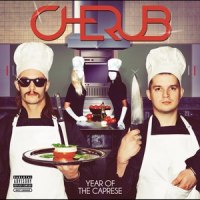 Chocolate Strawberries_Cherub