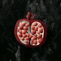 Obstacles_Whilk & Misky