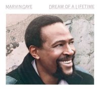 Sanctified Lady_Marvin Gaye
