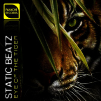 Eye of the Tiger(EDM Instrumental)_Static Beatz,Survivor