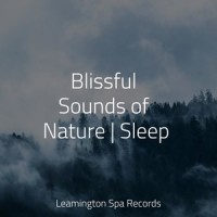 Rainforest Drops_Rain Sounds Nature Collection,Sleepy Times,Healing Sounds for Deep Sleep and Relaxation