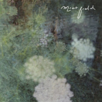Le Hable a la ola del mar_Mint Field