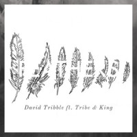 Feathers_David Tribble,Tribe & King