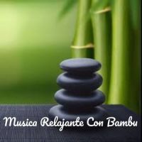 Alguiente Ama_Relajante,Melodias,Bambu,Para Ambientar