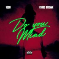 Do You Mind_VEDO,Chris Brown