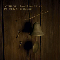 Damage Control(prelude)_Chris Pureka