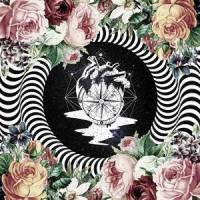 My Heart's In A Maze_Tim Schaufert,Cashforgold,Jacqaueline Torgerson