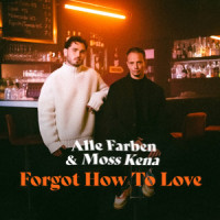 Forgot How to Love_Alle Farben,Moss Kena