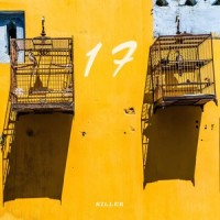 17_杀手耗