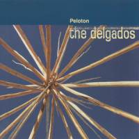 Pull The Wires From The Wall_The Delgados