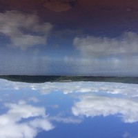 Solitaries_Jamie Harrison