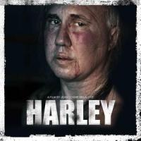 Harley_Max Avery Lichtenstein
