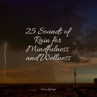 Thunder, Rains_Thunder and Rain Storm,Deep Sleep,Ambiente