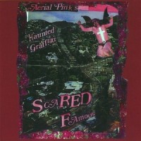 Inmates of Heartache_Ariel Pink's Haunted Graffiti