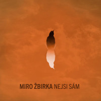 Nejsi sám_Miro Žbirka,David Zbirka