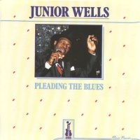 I'll Take Care of You_Junior Wells,Buddy Guy Orchestra