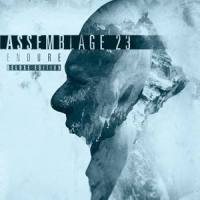 Afterglow_Assemblage 23