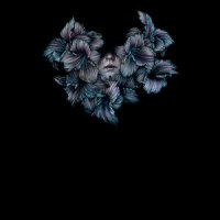 Always Burning, Always Dark_A Lot Like Birds