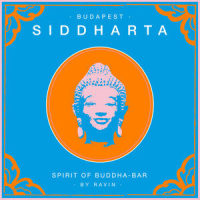 Being With Your_Bahramji,Baba Zula,Maneesh De Moor,Deeyah