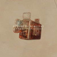 Did You Lose Yourself?_Future of Forestry