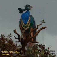 Birds Eye View_Cantrell