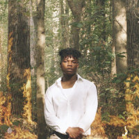 I Need A Forest Fire_Lani Rose