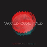 World Gone Wild_UNSECRET,Sam Tinnesz