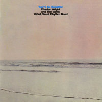 Nothing To Write Home About_Charles Wright,The Watts 103rd St. Rhythm Band