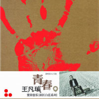 祈告良辰歌_王梵瑞
