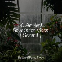 Here in Your Arms_Deep Sleep,Pink Noise,Chakra Meditation Universe