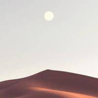 Yellow Sky_Evocativ