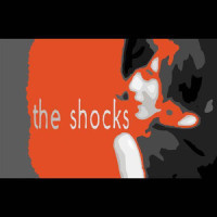 More Than I Can Take_The Shocks