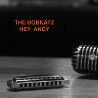 Hey Andy_The Bobkatz,Garry Koehler