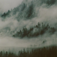 Run to You_Ocie Elliott
