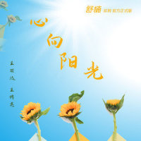 心向阳光_王丽达,王传亮