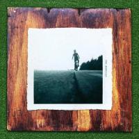 I Knew Her Well (feat. Peter Morén & Bill Frisell)_Crane Like the Bird,Peter Morén,Bill Frisell